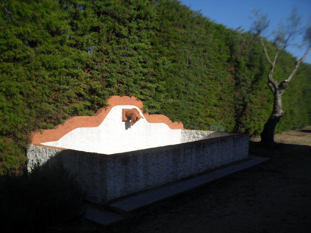 Quinta Do Outeiro Alto Villa Constancia Exterior photo