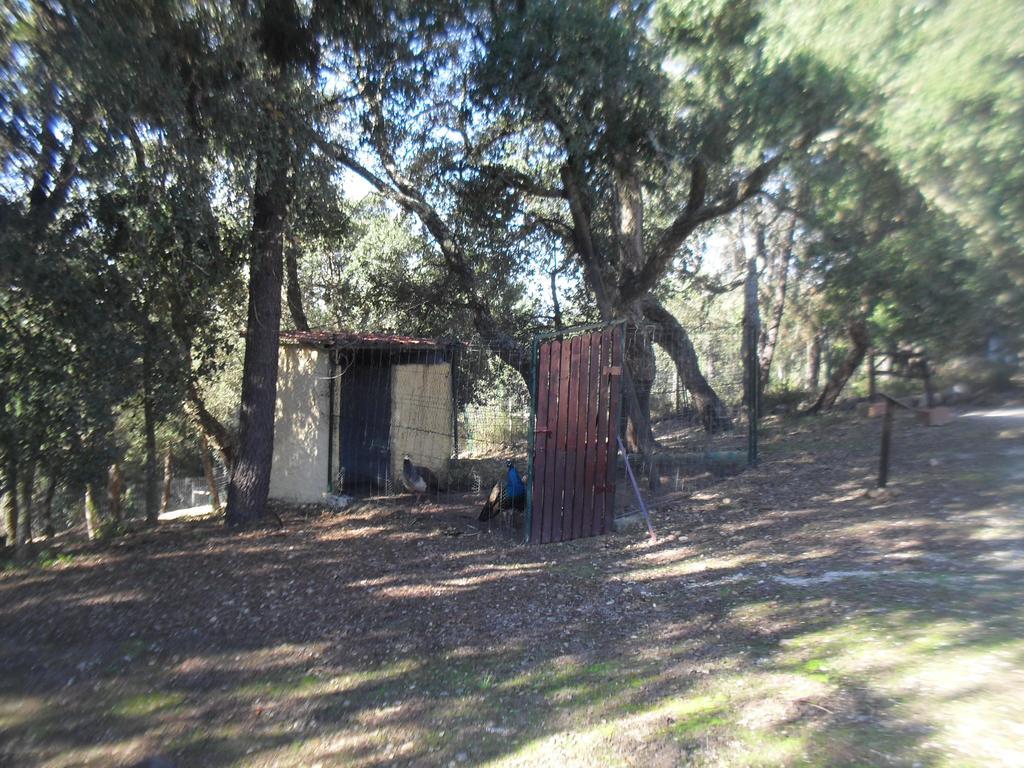 Quinta Do Outeiro Alto Villa Constancia Exterior photo
