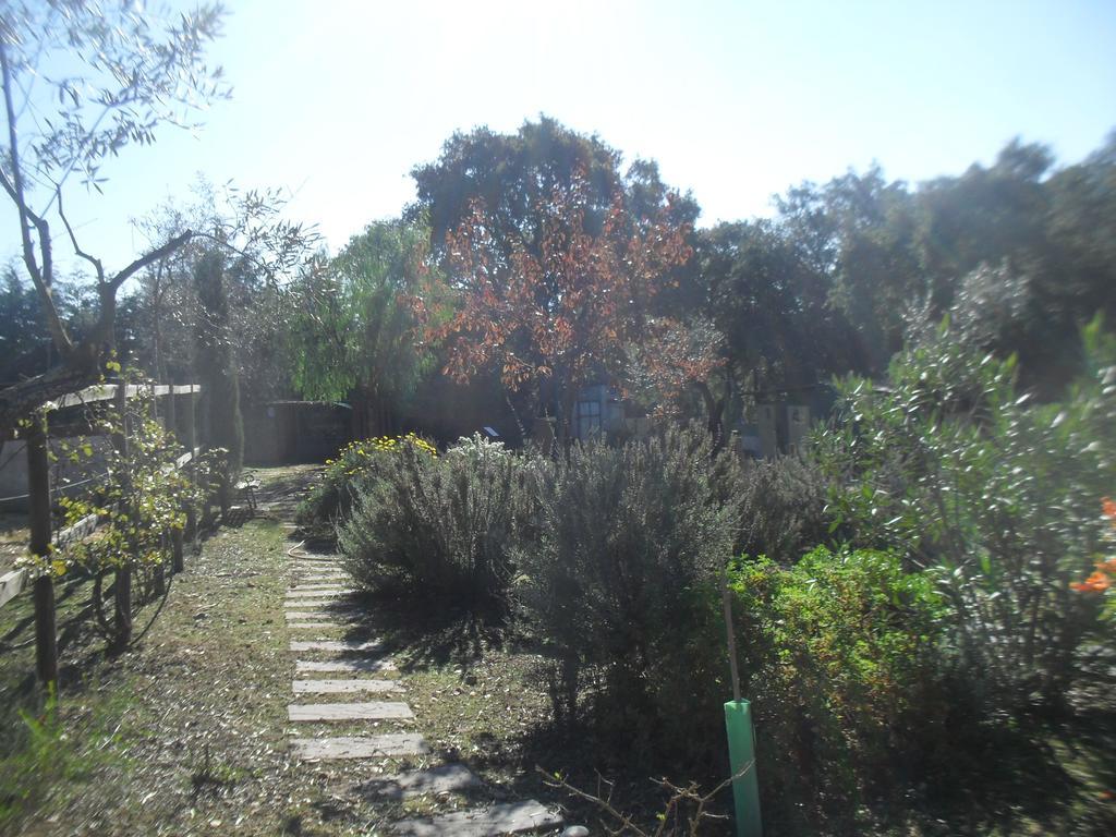 Quinta Do Outeiro Alto Villa Constancia Exterior photo