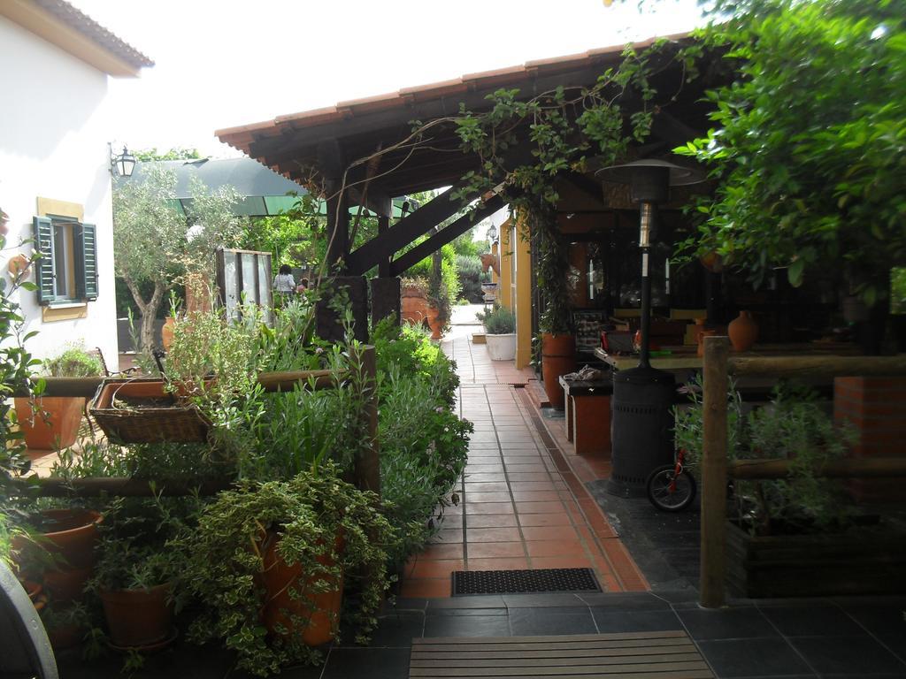 Quinta Do Outeiro Alto Villa Constancia Exterior photo