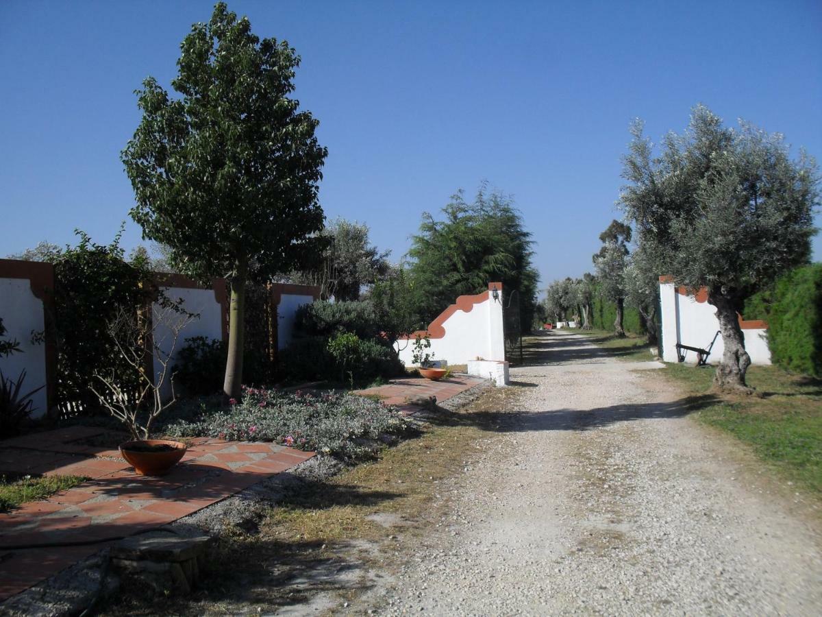 Quinta Do Outeiro Alto Villa Constancia Exterior photo